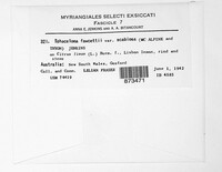 Image Associated With the Occurence